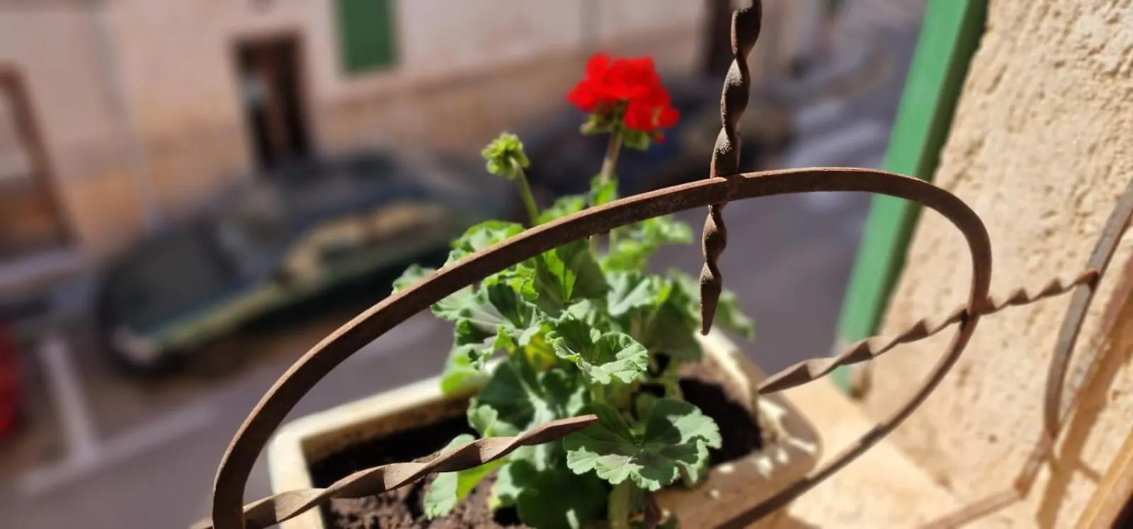Petit Hotel Algaida Algaida (Mallorca)
